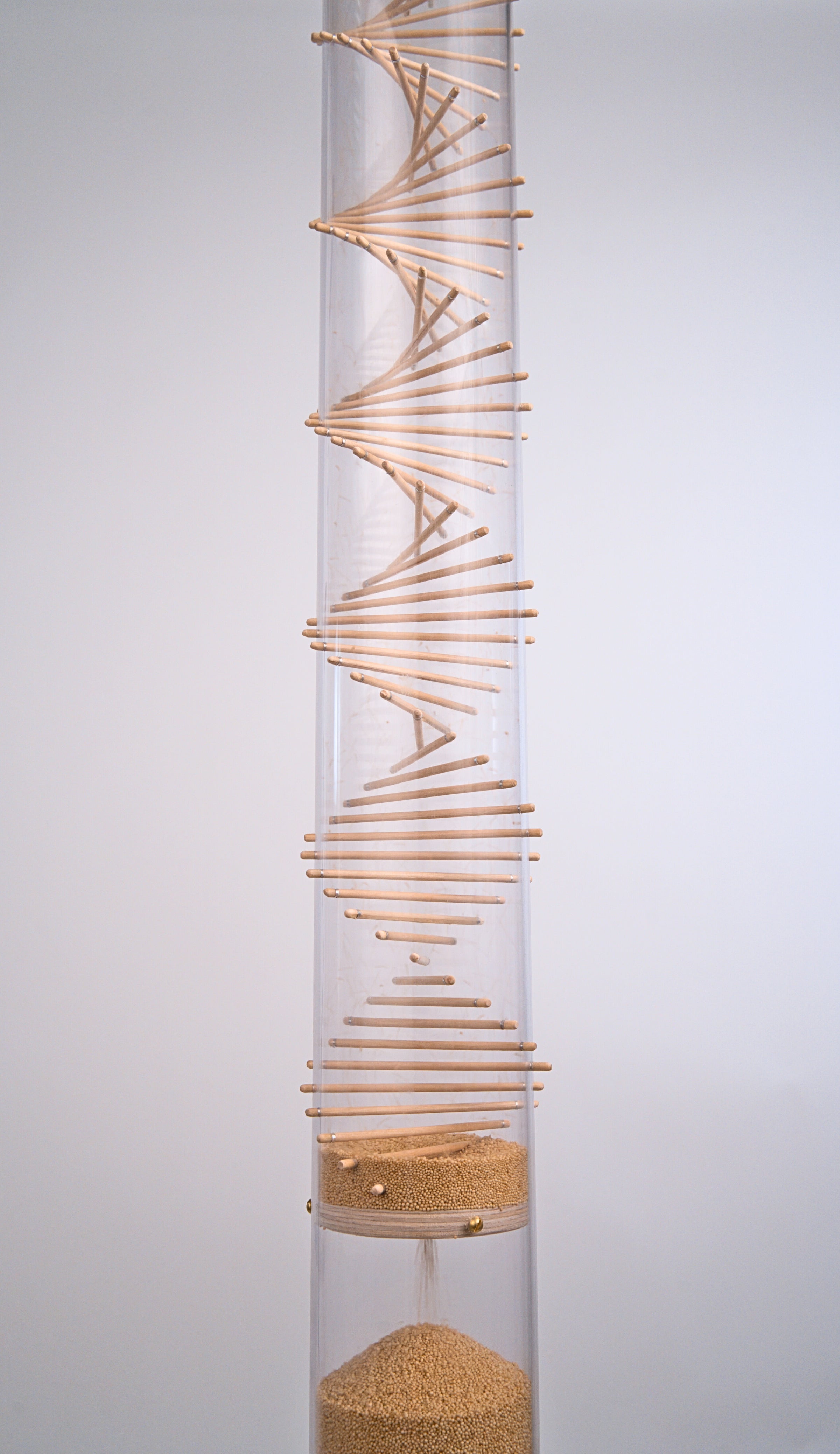 The middle portion of the 4’ tall large amaranth Rainstick by Rainstick Dreams shows a wooden spiral helix protruding through the clear tube. The amaranth produces a gentle rain sound for 10 minutes while the tiny seed flows through the spiral. A funnel disk allows millions of tiny amaranth seeds to flow down and collect at the bottom reservoir. This sound instrument is enjoyed in wellness settings like massage, therapy meditation, and sound healing. The calming sound helps regulate the nervous system.