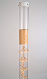 The upper portion of the large amaranth Rainstick by Rainstick Dreams shows the top reservoir of millions of tiny tan amaranth seeds as they fall down through a funnel disk and bounce around the wooden spiral. The top of the clear tube is enclosed with a custom fit white end cap. This long duration rainstick makes a gentle rain sound for 10 minutes. Many sound practitioners find the sound pleasing for their healing work, therapy, and as a wellness tool for grounding and nervous system regulation. 