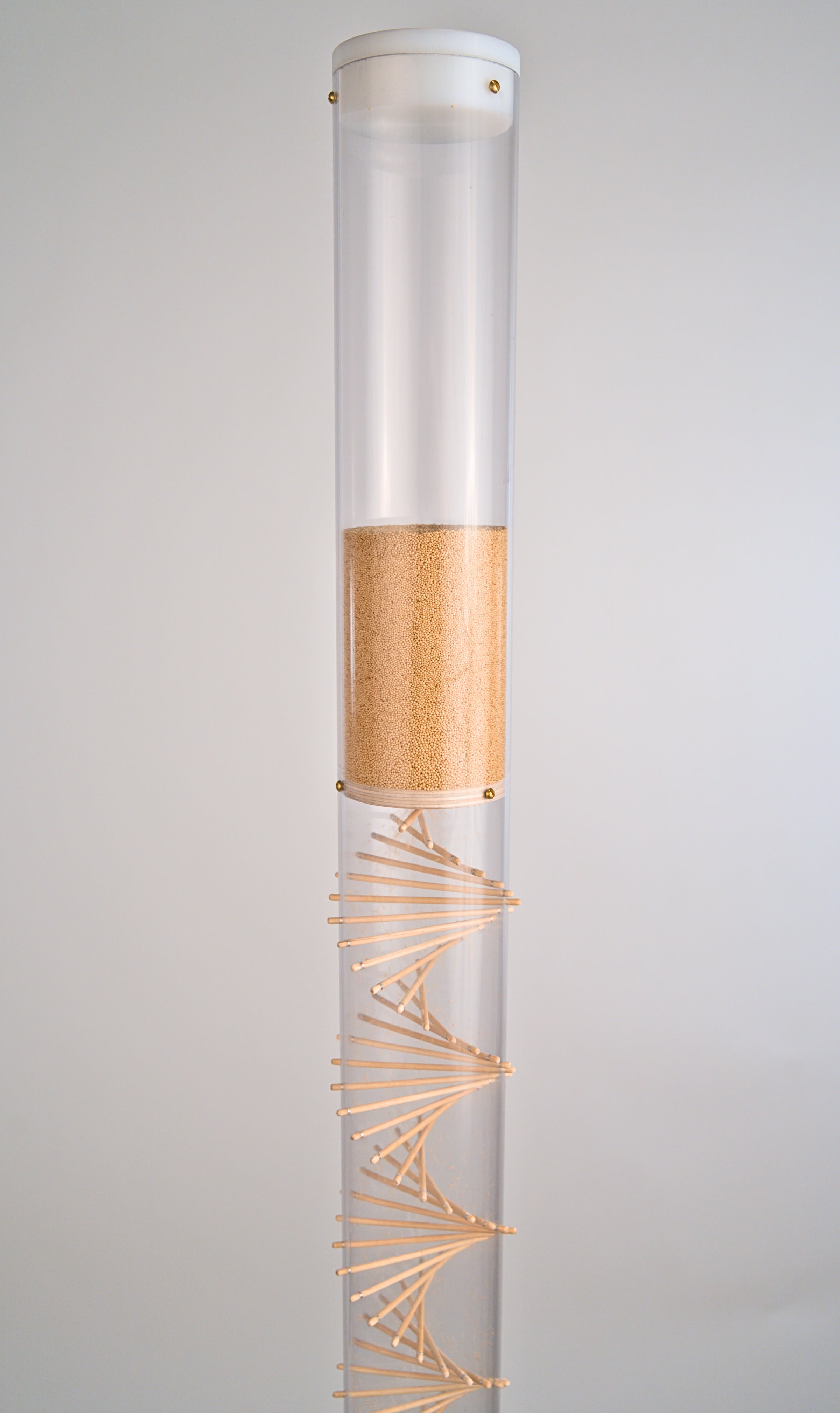 The upper portion of the large amaranth Rainstick by Rainstick Dreams shows the top reservoir of millions of tiny tan amaranth seeds as they fall down through a funnel disk and bounce around the wooden spiral. The top of the clear tube is enclosed with a custom fit white end cap. This long duration rainstick makes a gentle rain sound for 10 minutes. Many sound practitioners find the sound pleasing for their healing work, therapy, and as a wellness tool for grounding and nervous system regulation. 