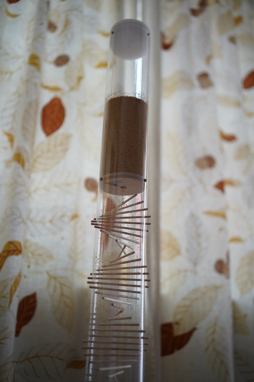 Large 10 minute Spiral Sounds® Rainstick – Gentle Amaranth