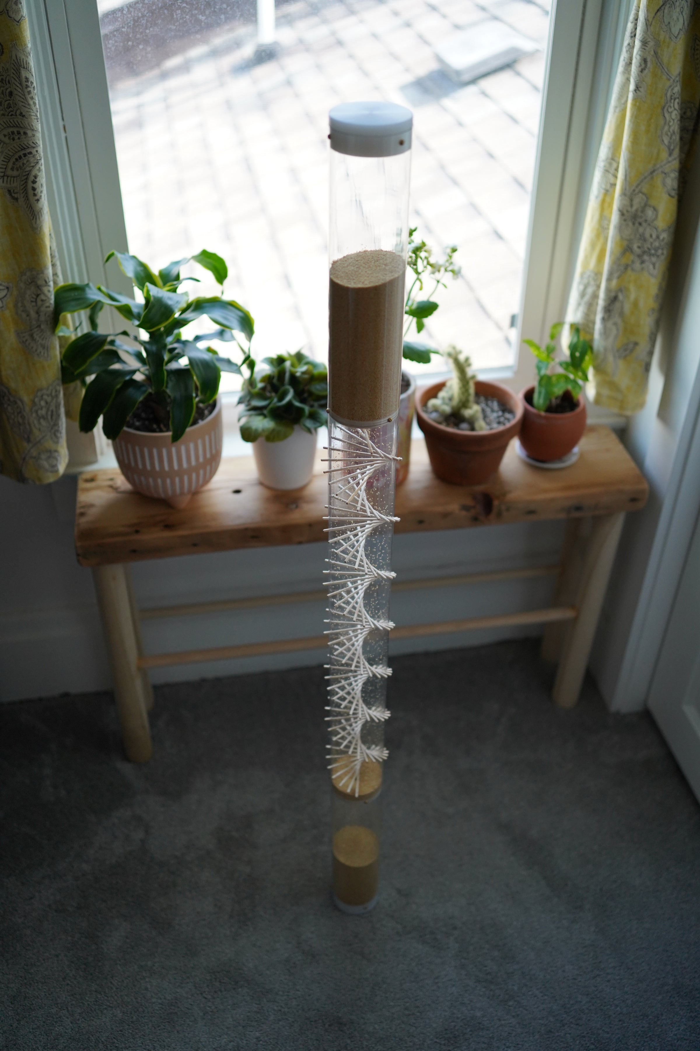 Large 10 minute Spiral Sounds® Rainstick – Gentle Amaranth