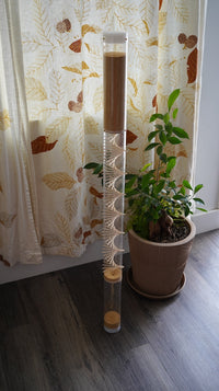 Large 10 minute Spiral Sounds® Rainstick – Gentle Amaranth