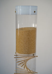 The top portion of an amaranth filled 3.5 minute handcrafted rainstick. The tube is clear so that you can see the inside of the rainstick instrument, and the end cap is white.