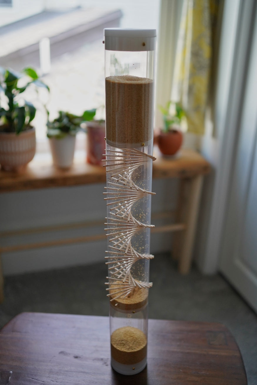 A 2 foot tall amaranth rainstick with a visible wooden spiral standing on a table, with a plant and window behind it.