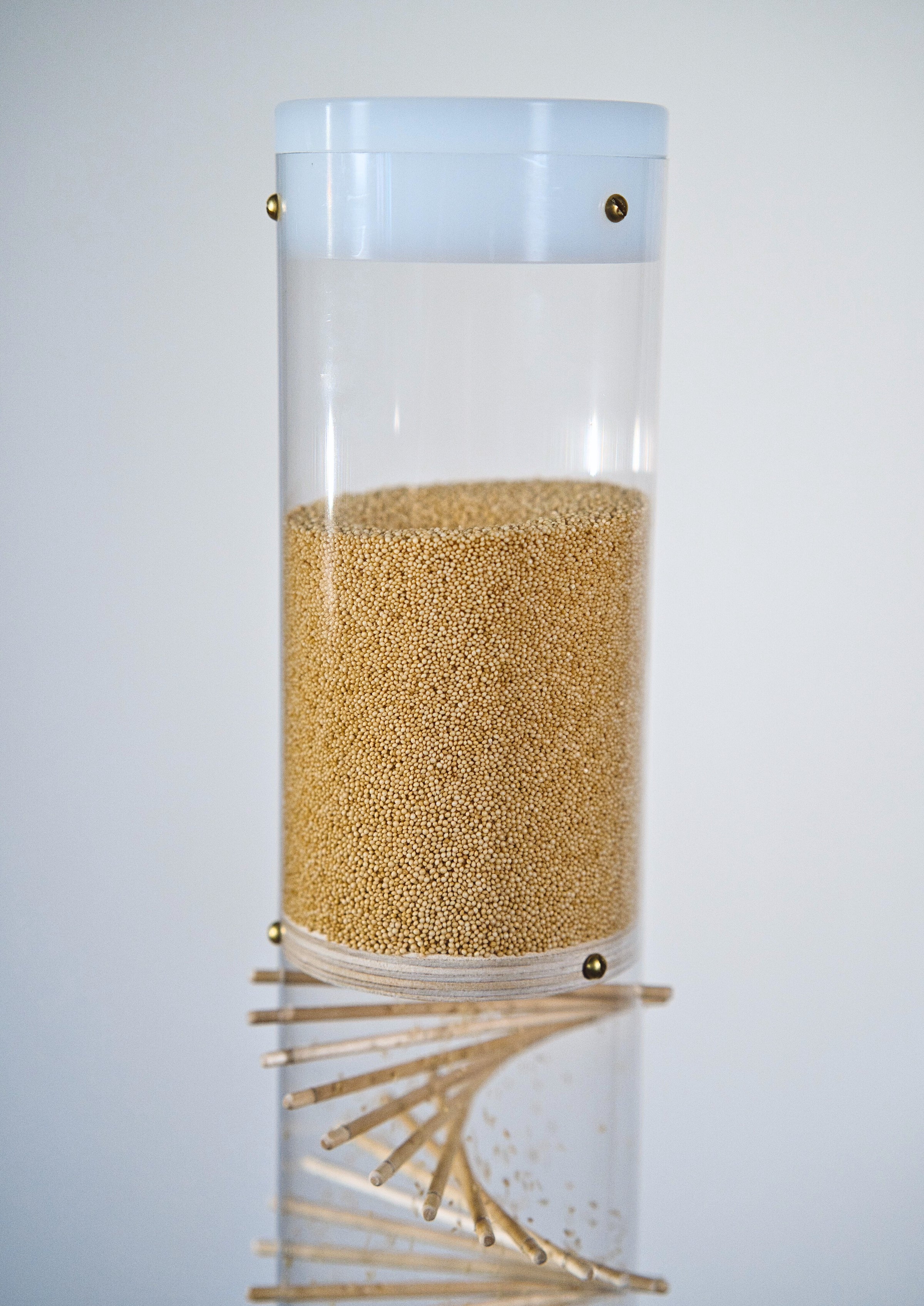 A clear cylinder enclosed with a solid white cap on top contains tiny amaranth seeds, a wooden funnel disk, and a wooden spiral pattern. It is a 3.5 minute long duration spiral sounds rainstick by Rainstick Dreams. It’s gentle rain sound is calming and can help relax the nervous system - just flip and listen.