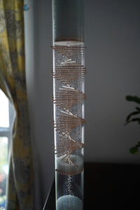 A clear rainstick instrument with blue glass beads is standing on wooden furniture with a window and plant behind it. The microbeads sparkle and shine as they descend inside the clear rainstick with a visible spiral going through the tube. The rainstick lasts for 3 minutes once flipped.