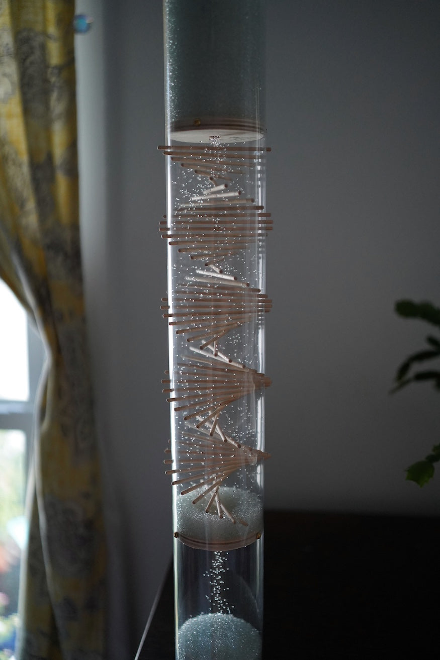A clear rainstick instrument with blue glass beads is standing on wooden furniture with a window and plant behind it. The microbeads sparkle and shine as they descend inside the clear rainstick with a visible spiral going through the tube.