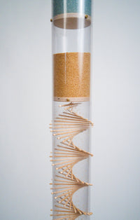 Rendezvous® 3.5 minute 2 in 1 Rainstick