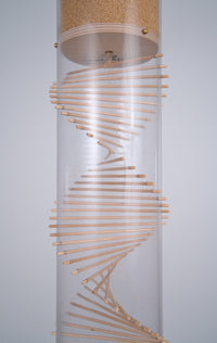 The funnel through with tiny tan amaranth seeds fall is visible from beneath. Below the funnel is the wooden spiral design, the signature look that Rainstick Dreams is known for. This 20 minute extra large Rainstick is made with a clear tube and is positioned in front of a white background.