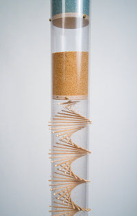 Rendezvous 2 in 1 Rainstick