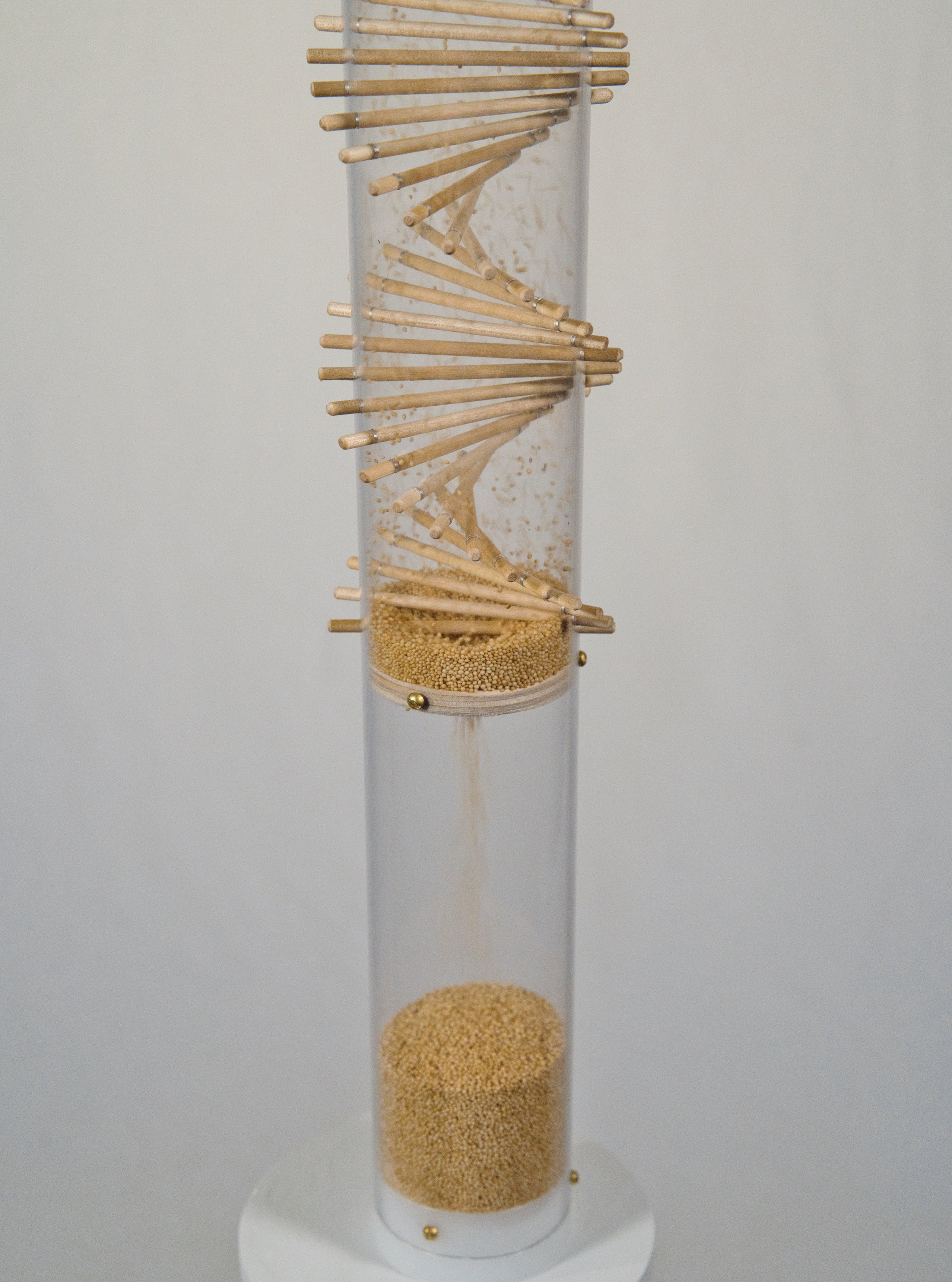 The lower portion of the clear rainstick tube where the tan amaranth seeds collect after they fall through the wooden spiral.