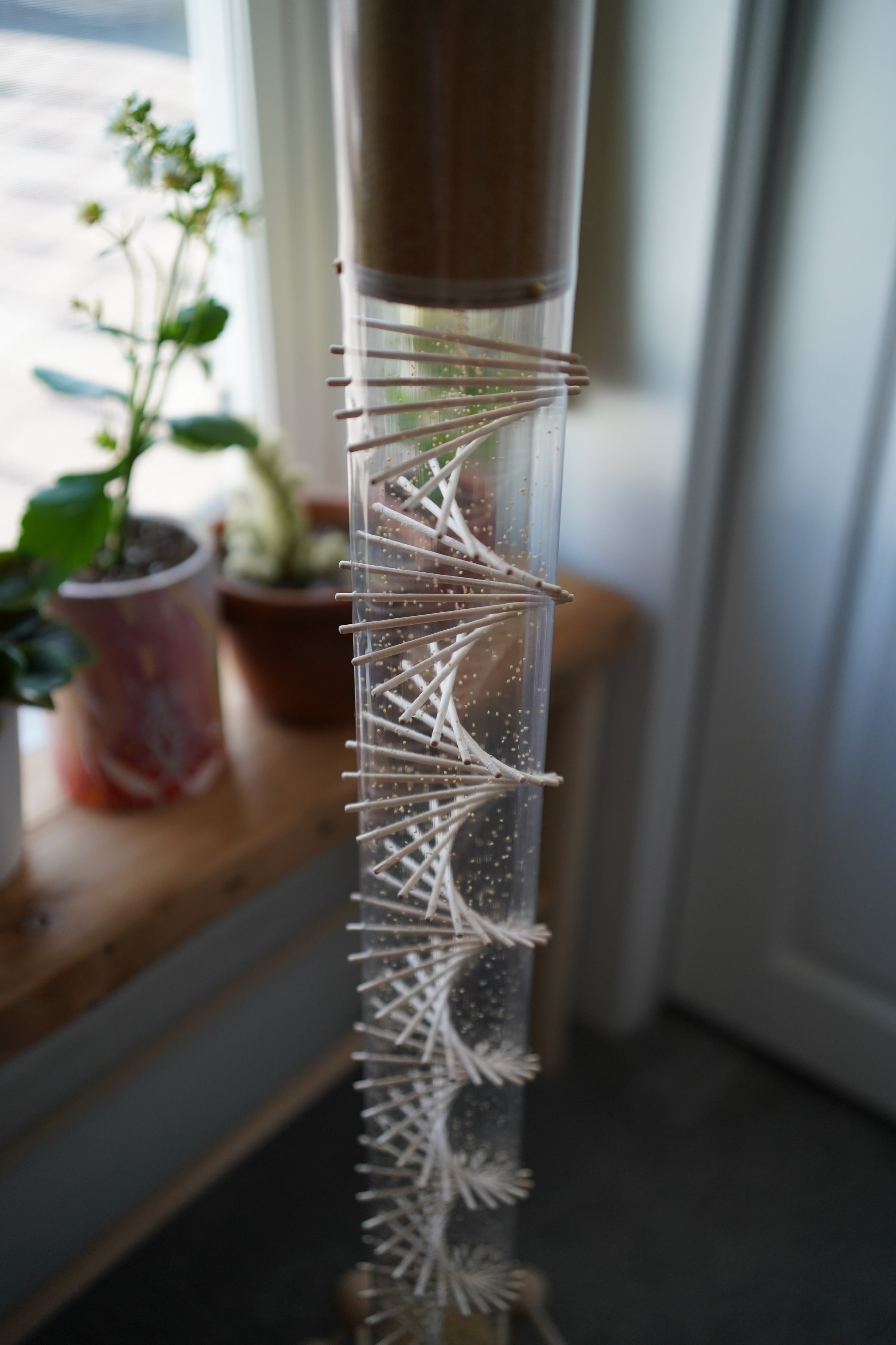 Large 10 minute Spiral Sounds® Rainstick – Gentle Amaranth